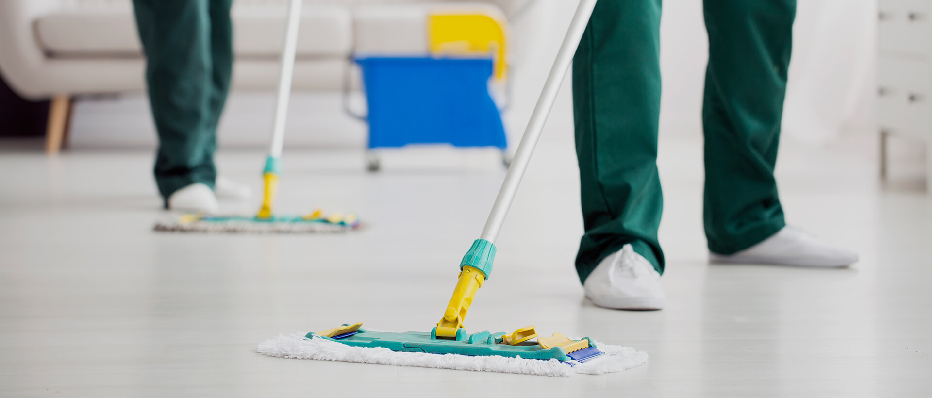 Maid Meticulous, LLC