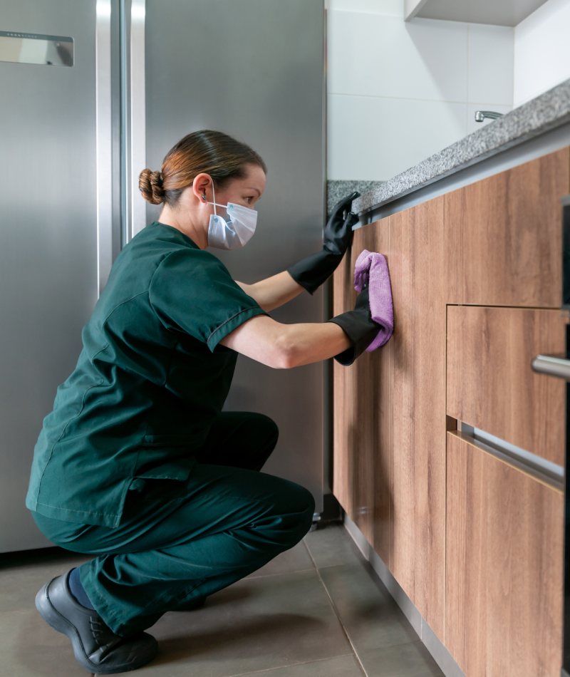 Maid Meticulous, LLC